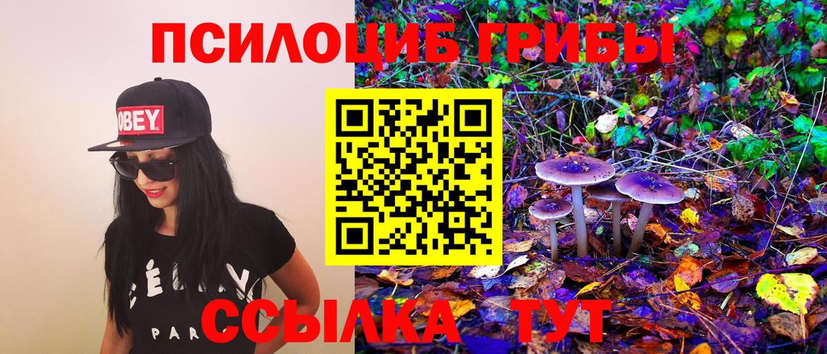 Псилоцибиновые грибы GOLDEN TEACHER Каменка