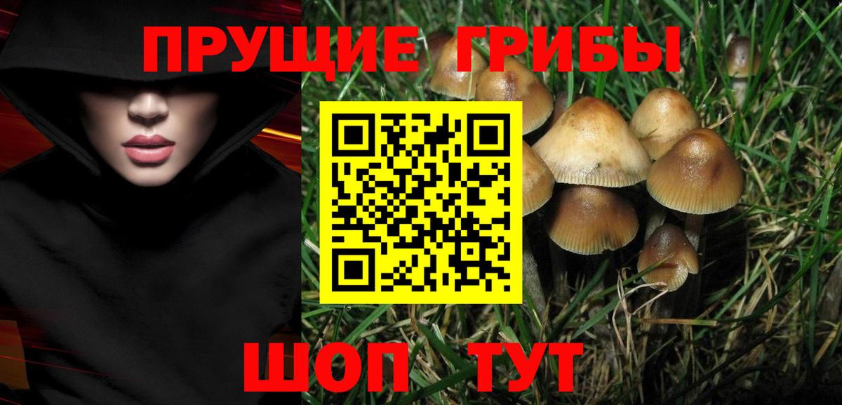 Псилоцибиновые грибы мухоморы  Галлюциногенные грибы MAGIC MUSHROOMS  Вход с VPN  Каменка 